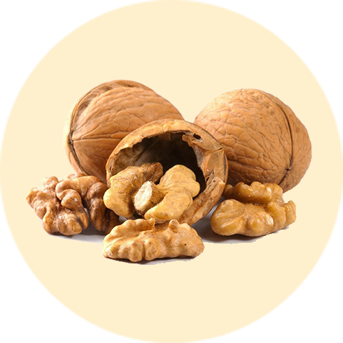 Walnut